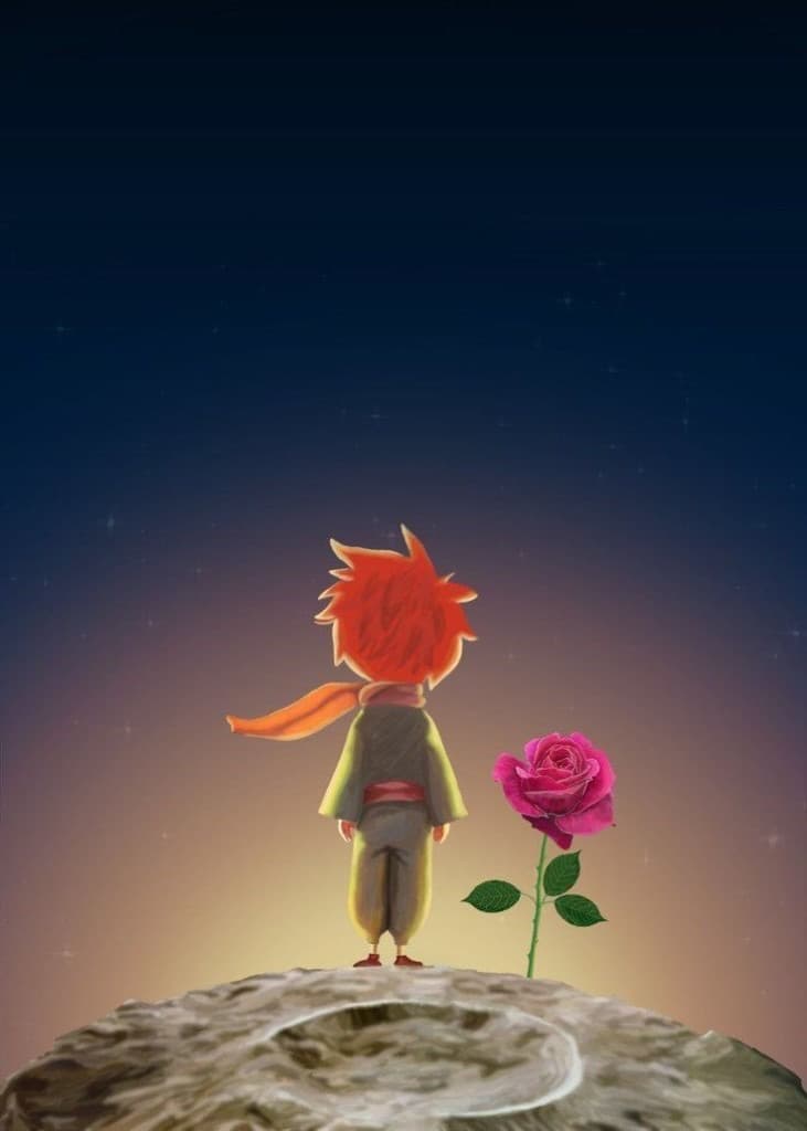 Illustration contemplative — silhouette et rose sous un ciel étoilé